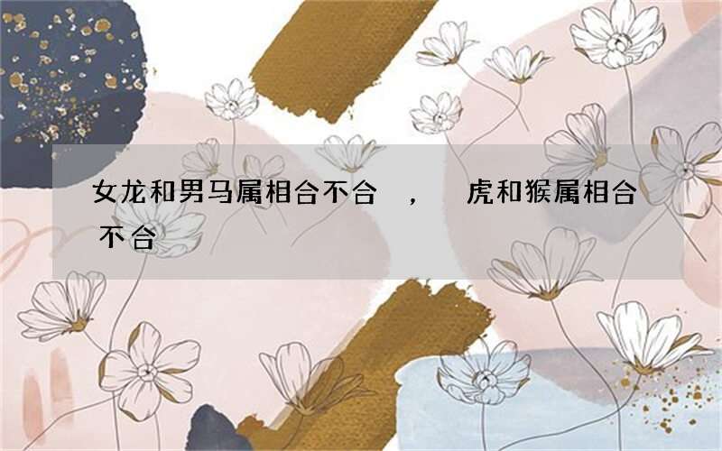 女龙和男马属相合不合，虎和猴属相合不合